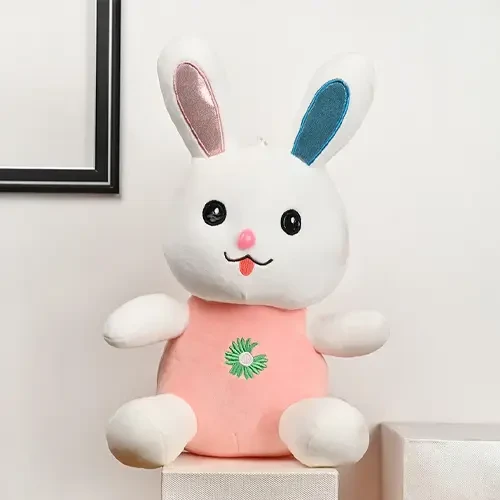 Bunny Toys